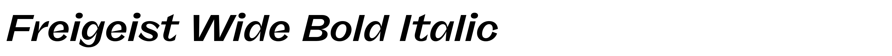Freigeist Wide Bold Italic